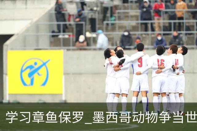 学习章鱼保罗 墨西哥动物争当世界杯预言家